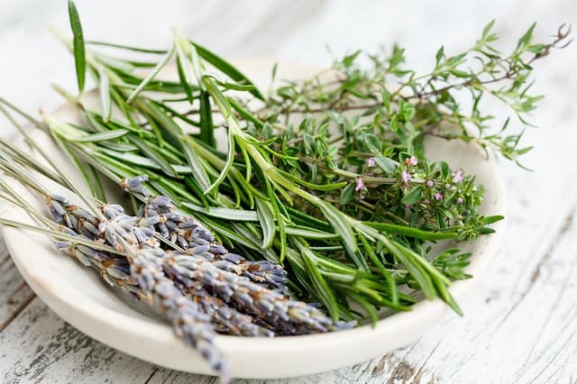 Rosemary Water