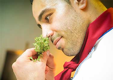 chef smelling fresh oregano