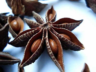 star anise spice