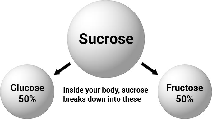 sucrose conversion to glucose and fructose during digestion