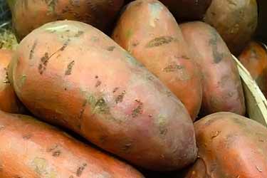 sweet potatoes