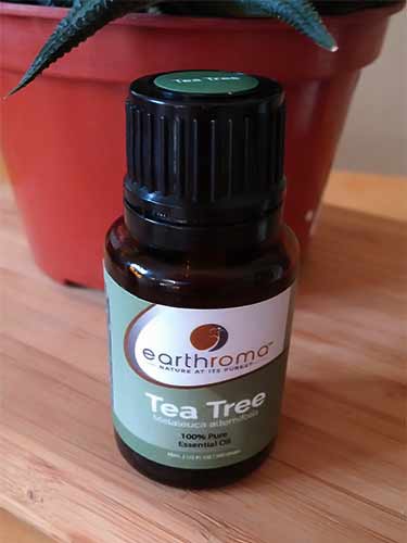 tea tree oil