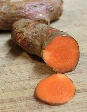 turmeric root sliced