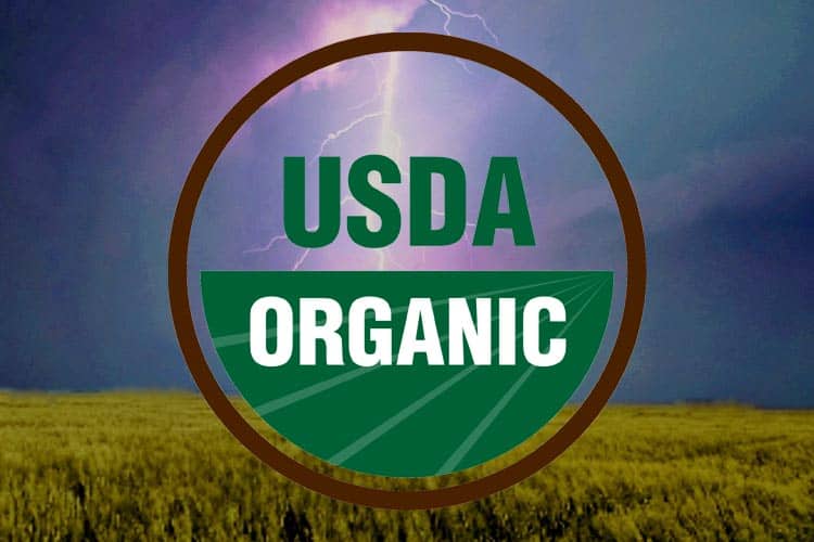 USDA organic logo over storm clouds