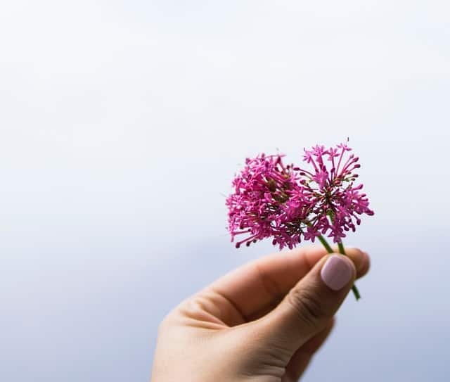 Valerian