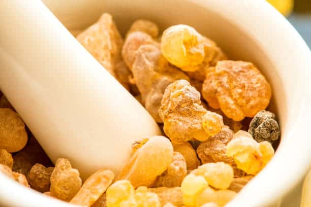 What is Boswellia Serrata and How it Can Help You with Your Health