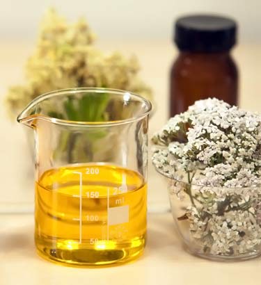 yarrow essential oil