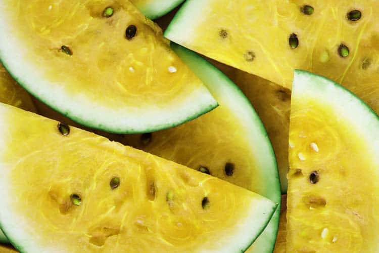 yellow watermelon