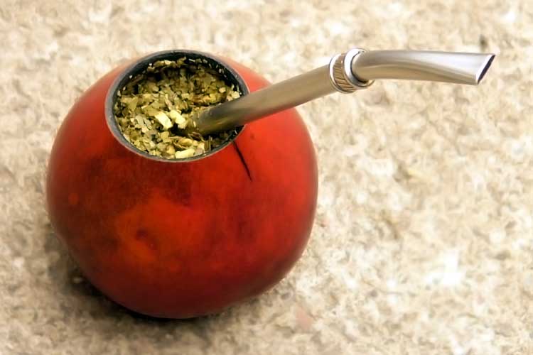 yerba mate gourd cup with metal straw