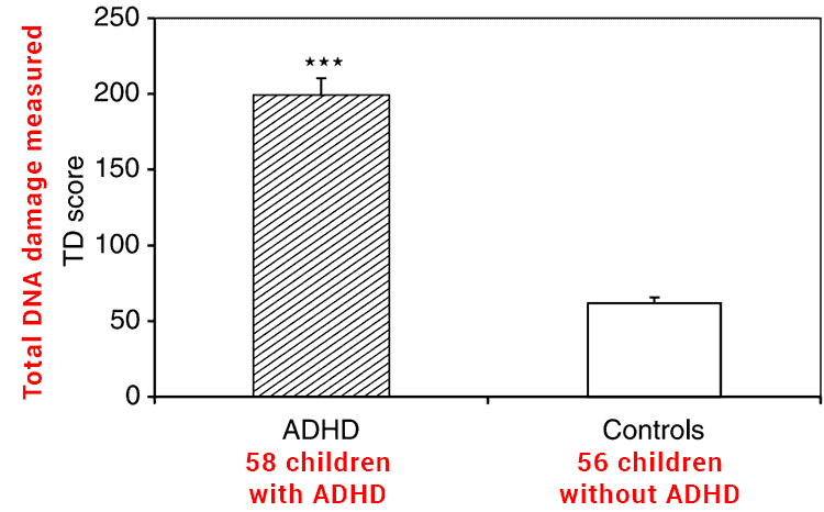 study showing oxidative stress and DNA damage for people with ADHD