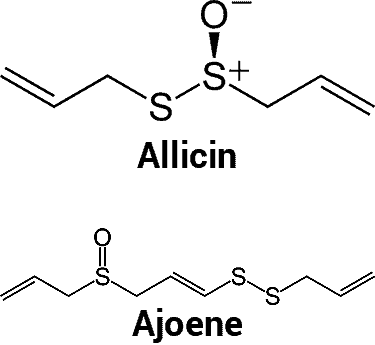 allicin and ajoene molecules chemical structures