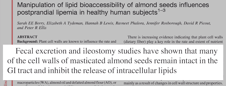 quote from study about fat from nuts not being absorbed