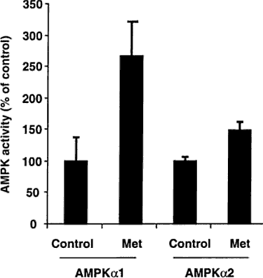 bar graph of AMPK activity