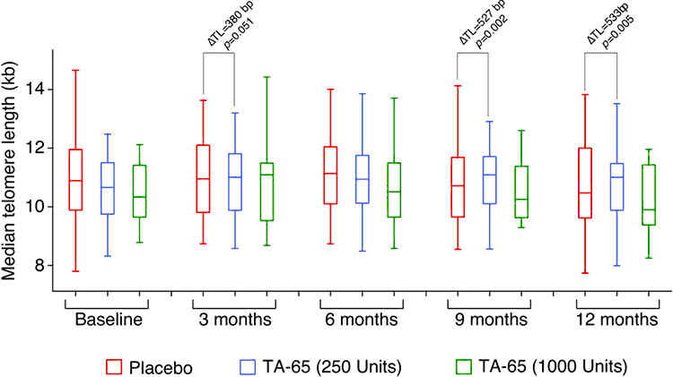 bar graphs showing astragalus telomere lengthening effects during 12 month treatment