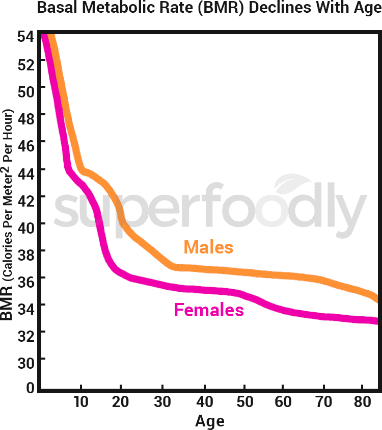 basal metabolic rate decline rate chart for male and female