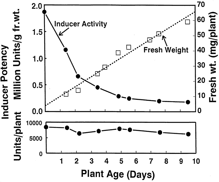 chart showing antiproliferative benefit of broccoli versus broccoli sprouts