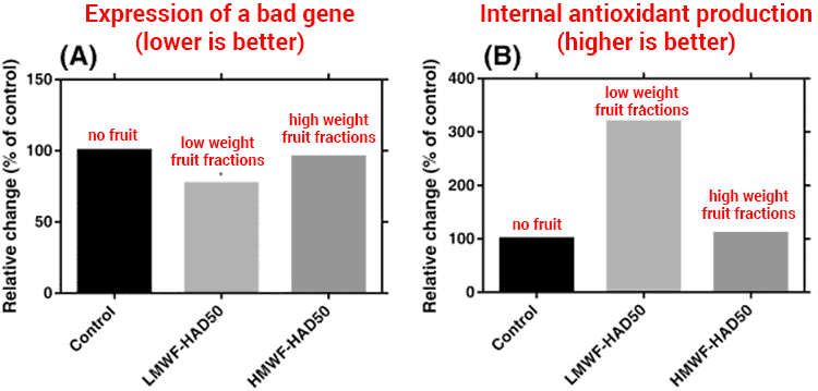 Alzheimer's model with bar graphs of camu camu extract treatment