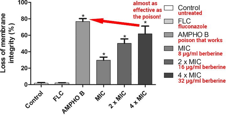 bar graph showing effectiveness of berberine against Candida yeast