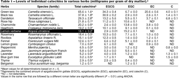 catechins amount in verbena compared to other common teas