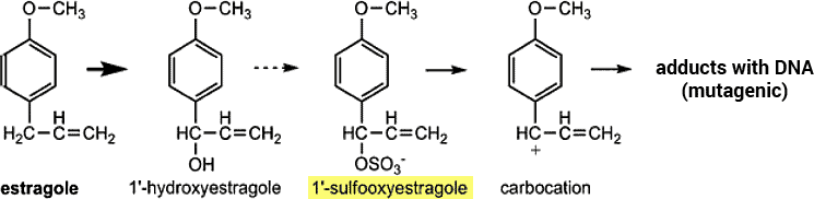 estragole structure