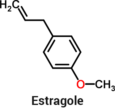 estragole molecule chemical structure