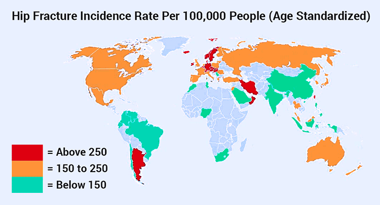 per capita hip fracture prevalence statistics