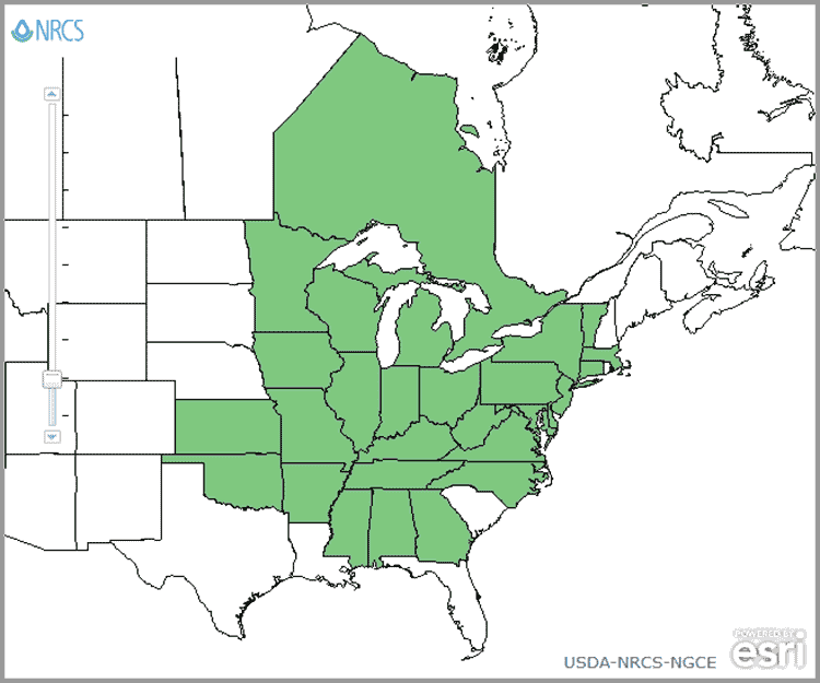 map showing where to find goldenseal in the wild