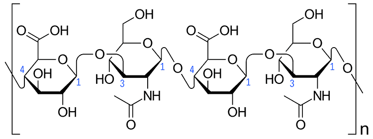 hyaluronic acid molecule