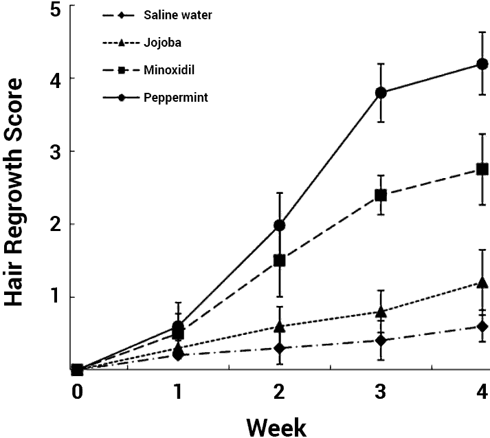 chart showing hair growth with peppermint vs. other treatments