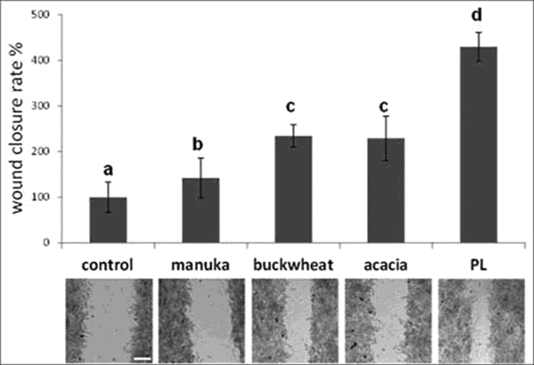 graph and photos of skin injury healing using acacia, buckwheat, and manuka honey