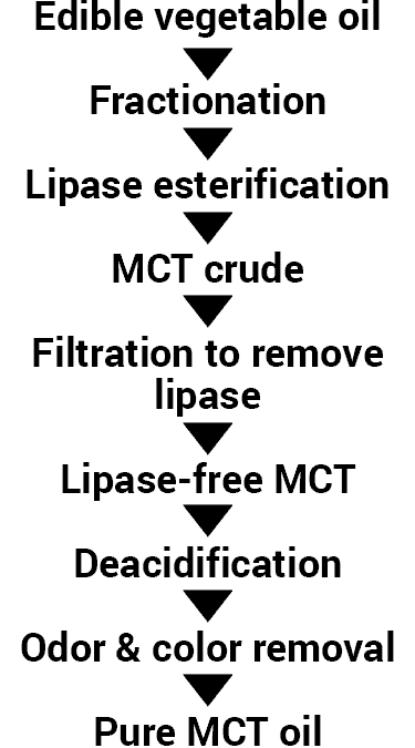 steps of how MCT oil is made