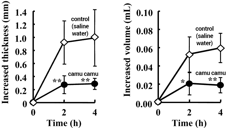 anti-inflammatory effects of camu camu treatment on paw edema