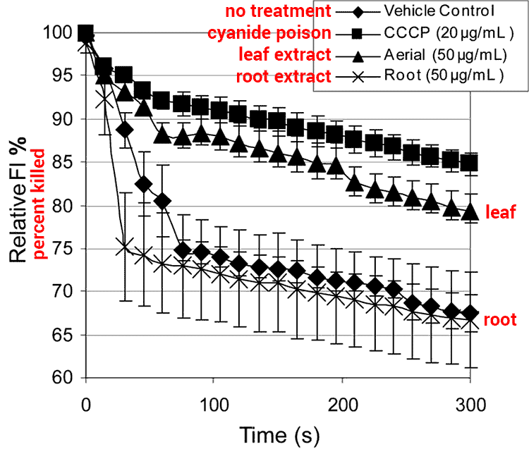 graph showing goldenseal antibiotic effects against staph infection