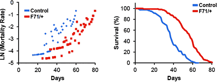 graphs showing life extension