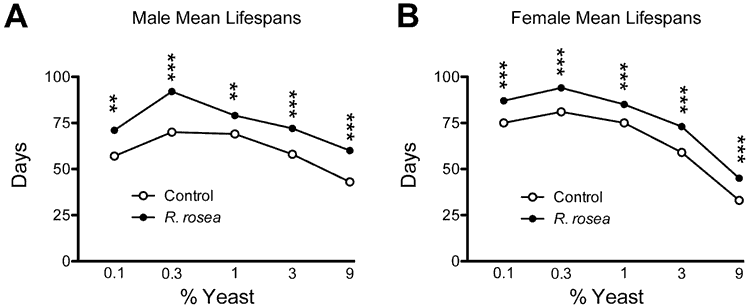 graphs showing rhodiola rosea anti-aging in yeast