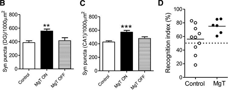 charts showing how Magtein improved memory and cognition