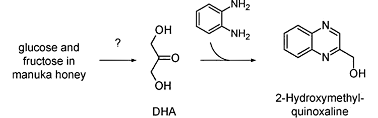 dihydroxyacetone and methylglyoxal molecules