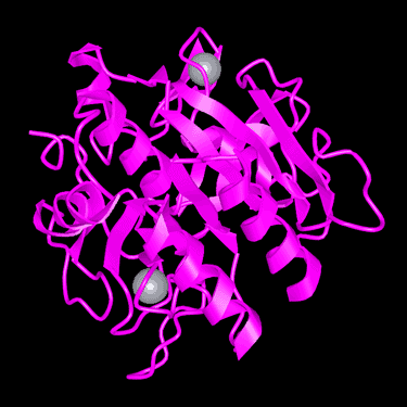 nattokinase structure