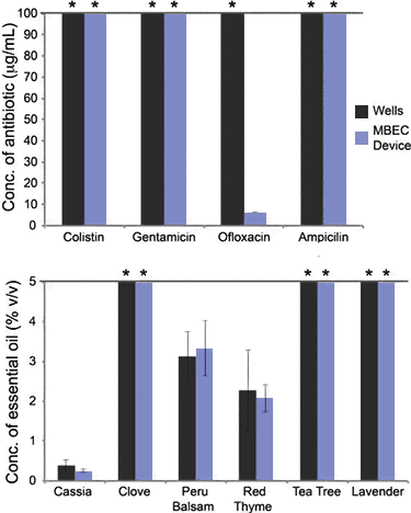 antimicrobial activity of essential oils