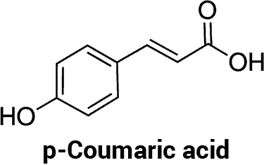 p coumaric acid molecule