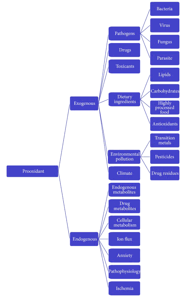 diagram listing the internal and external sources of prooxidants by category