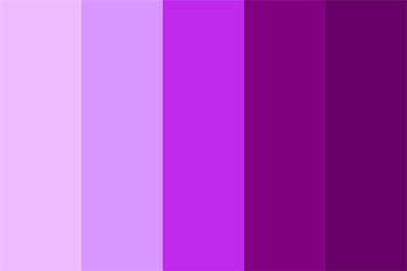 5 different shades of violet, from light to dark