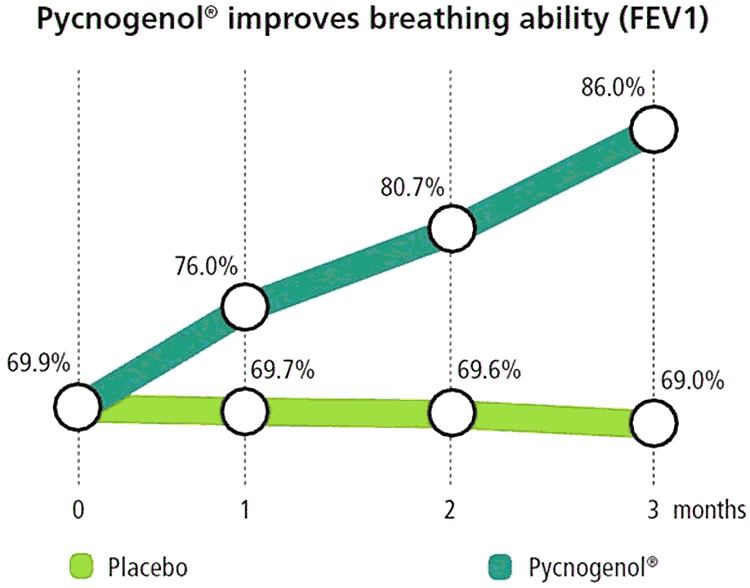 graph showing Pycnogenol for asthma vs. control group