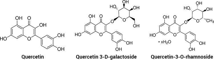 molecules of quercitrin, quercetin 3-D-galactoside, and quercetin-3-O-rhamnoside