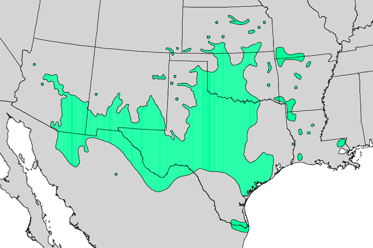 S. drummondii growing map