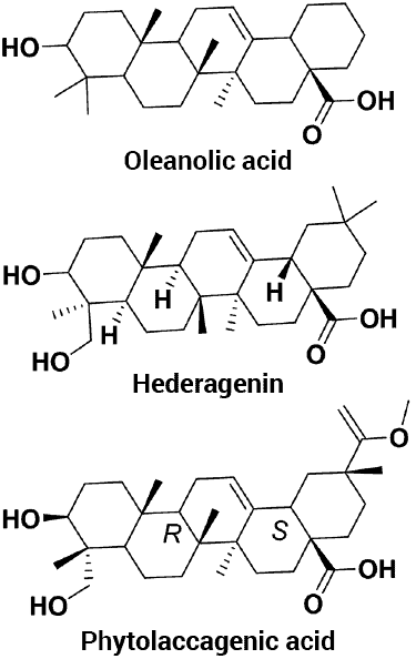 molecular structures of 3 saponin types found in quinoa