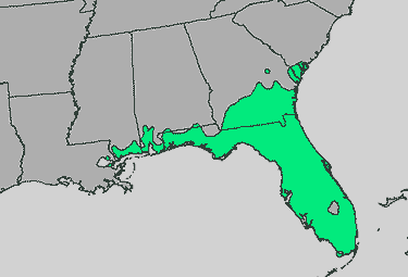 native growing region of serenoa repens