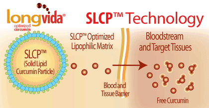 Solid Lipid Curcumin Particle Technology