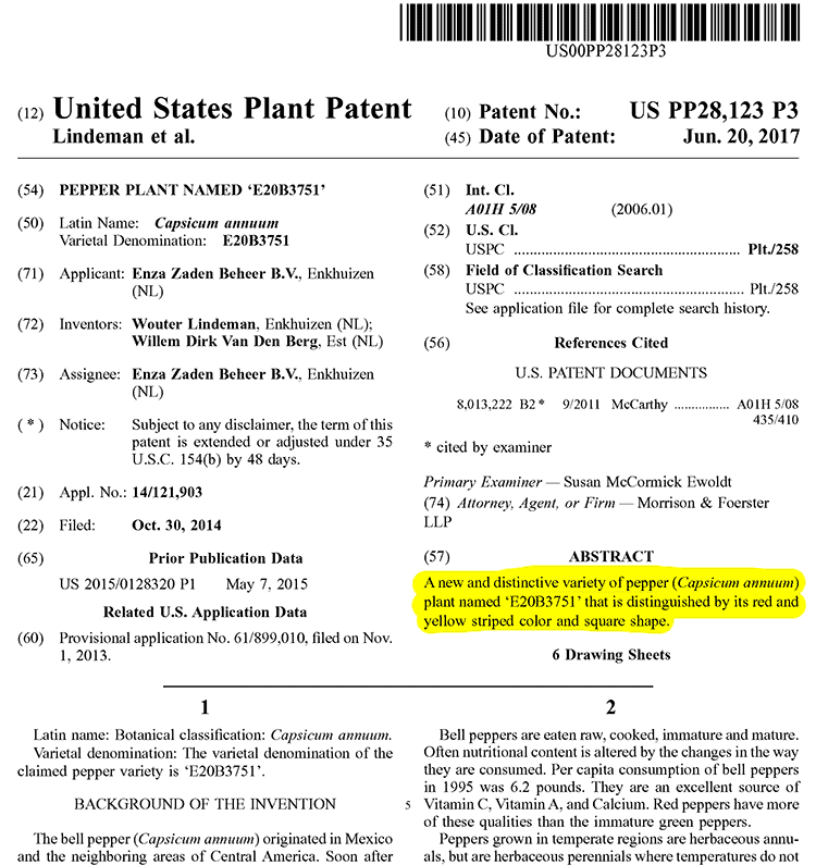 US patent for Holland striped sweet bell peppers