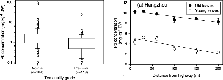 graphs of lead content by tea grade and growing distance from highways